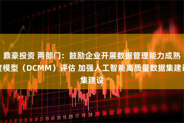 鼎豪投资 两部门：鼓励企业开展数据管理能力成熟度模型（DCMM）评估 加强人工智能高质量数据集建设