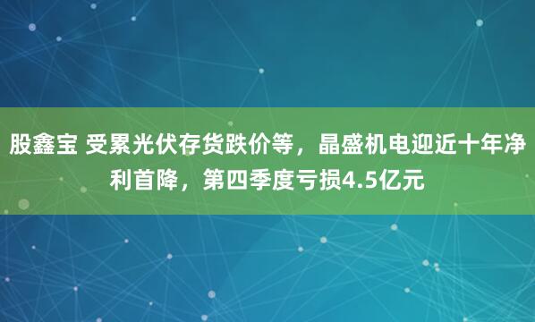股鑫宝 受累光伏存货跌价等，晶盛机电迎近十年净利首降，第四季度亏损4.5亿元