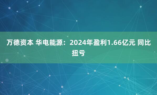 万德资本 华电能源：2024年盈利1.66亿元 同比扭亏