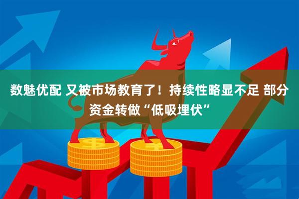 数魅优配 又被市场教育了！持续性略显不足 部分资金转做“低吸埋伏”