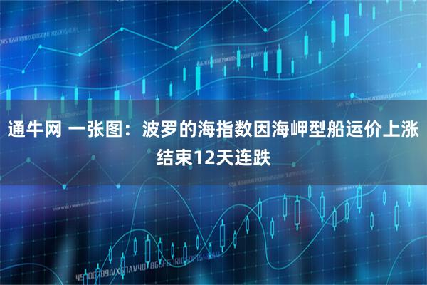 通牛网 一张图：波罗的海指数因海岬型船运价上涨结束12天连跌