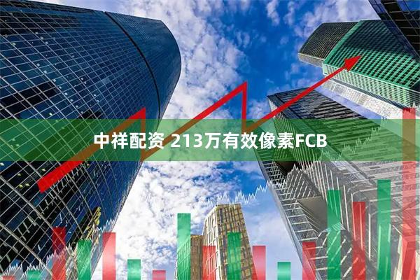 中祥配资 213万有效像素FCB