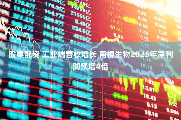 股巢配资 工业端营收增长 南模生物2025年净利润预增4倍